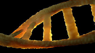 Illustration for article titled Rewards and Drawbacks of New Drugs: How May PiggyBac Transposon Help?
